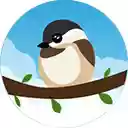 chickadeasy  screen for extension Chrome web store in OffiDocs Chromium