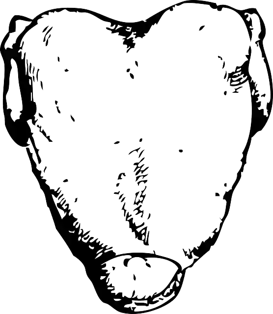 Bezpłatne pobieranie Kurczak Ptak Mięso - Darmowa grafika wektorowa na Pixabay bezpłatna ilustracja do edycji za pomocą bezpłatnego edytora obrazów online GIMP