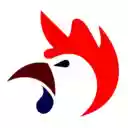 Chicken Read  screen for extension Chrome web store in OffiDocs Chromium