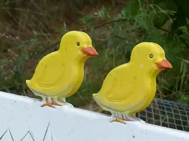 Free download Chicks Sofa Summer -  free photo or picture to be edited with GIMP online image editor