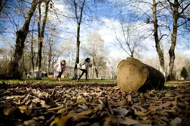 Free download Child Nature Happiness -  free photo or picture to be edited with GIMP online image editor