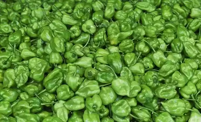 Free download Chile Habanero Market Spicy -  free photo or picture to be edited with GIMP online image editor