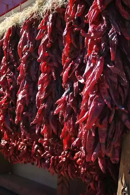 Free download chiles ristras santa fe new mexico free picture to be edited with GIMP free online image editor