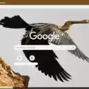 Chim cao co  screen for extension Chrome web store in OffiDocs Chromium