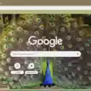Chim Cong  screen for extension Chrome web store in OffiDocs Chromium