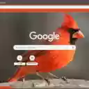Chim Se Do  screen for extension Chrome web store in OffiDocs Chromium