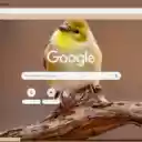 Chim Se Vang  screen for extension Chrome web store in OffiDocs Chromium