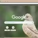 Chim Ung Dau Do  screen for extension Chrome web store in OffiDocs Chromium