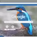 Chim Xanh Ngoc  screen for extension Chrome web store in OffiDocs Chromium