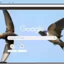 Chim Yen  screen for extension Chrome web store in OffiDocs Chromium