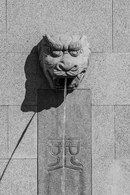 Free download Chinese Fountain Dragon -  free photo or picture to be edited with GIMP online image editor