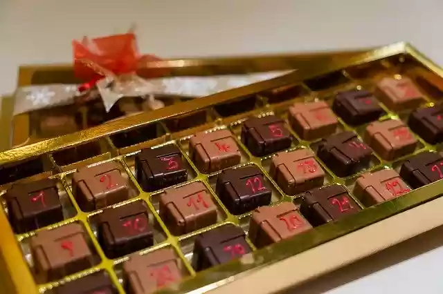 Free download Chocolates Confi Series Pastry -  free free photo or picture to be edited with GIMP online image editor