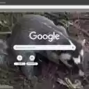Chon bac ma  screen for extension Chrome web store in OffiDocs Chromium