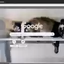 Chon rung  screen for extension Chrome web store in OffiDocs Chromium