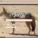 Cho rung  screen for extension Chrome web store in OffiDocs Chromium