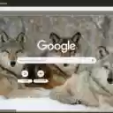Cho soi  screen for extension Chrome web store in OffiDocs Chromium