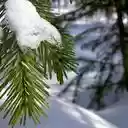 Christmas and holiday season Holiday Christma  screen for extension Chrome web store in OffiDocs Chromium