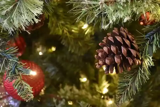 Free download christmas decorations pine cone free picture to be edited with GIMP free online image editor