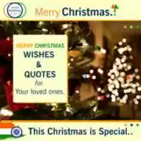 Free download christmas-festival-wishes free photo or picture to be edited with GIMP online image editor