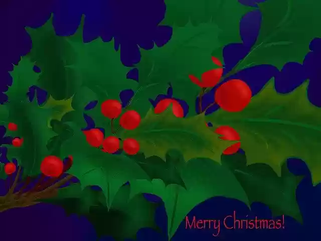 Free download Christmas Holly Painting -  free illustration to be edited with GIMP free online image editor
