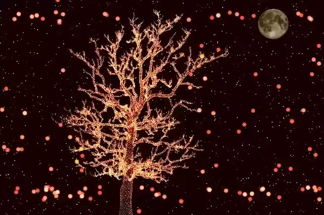 Free download Christmas Lights Night -  free illustration to be edited with GIMP free online image editor