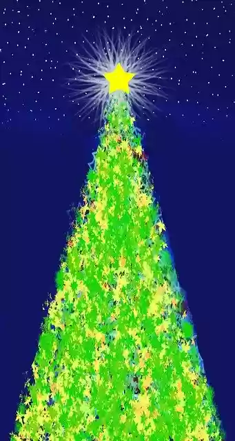 Free download Christmas Poinsettia Corona -  free illustration to be edited with GIMP free online image editor