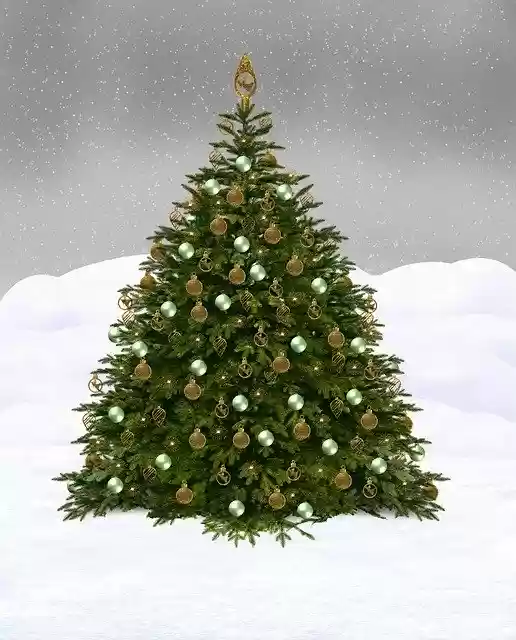 Free download Christmas Sapling Winter -  free illustration to be edited with GIMP free online image editor