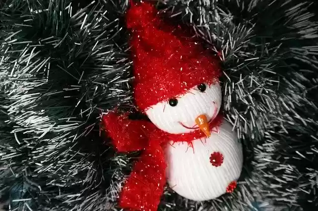 Free download Christmas Snowman Scarf free photo template to be edited with GIMP online image editor