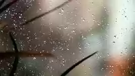 Free download Christmas Snow Winter free video to be edited with OpenShot online video editor