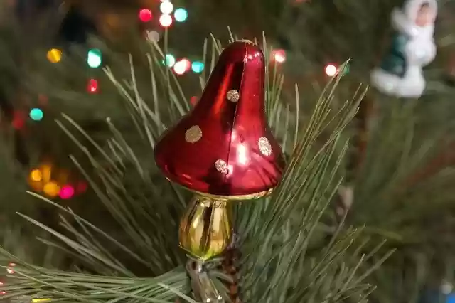 Free download Christmas Toy Mushroom free photo template to be edited with GIMP online image editor