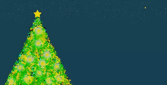 Free download Christmas Tree Fir -  free photo or picture to be edited with GIMP online image editor