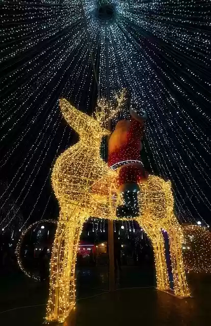 Free download christmas tree night christmas time free picture to be edited with GIMP free online image editor