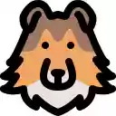 Chromepet  screen for extension Chrome web store in OffiDocs Chromium