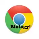 CHS Biology Semester Final  screen for extension Chrome web store in OffiDocs Chromium