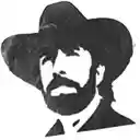 Chuck Norris Approved Pull Requests  screen for extension Chrome web store in OffiDocs Chromium