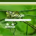 Chuon chuon xanh  screen for extension Chrome web store in OffiDocs Chromium