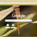 Chuon Vang  screen for extension Chrome web store in OffiDocs Chromium