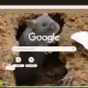 Chuot hang  screen for extension Chrome web store in OffiDocs Chromium