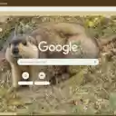 Chuot nui chau My  screen for extension Chrome web store in OffiDocs Chromium