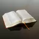 Citazione Biblica  screen for extension Chrome web store in OffiDocs Chromium