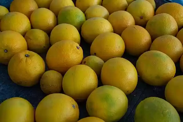 Free download citrus lemons vitamins lot healthy free picture to be edited with GIMP free online image editor