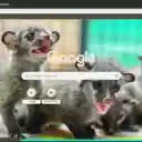 Civet  screen for extension Chrome web store in OffiDocs Chromium