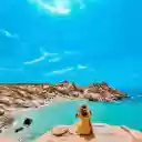 Cù Lao Câu Island – A Hidden Gem of Pristine Beauty  screen for extension Chrome web store in OffiDocs Chromium