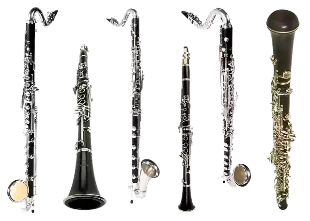 Free download Clarinet Bass Musical -  free illustration to be edited with GIMP free online image editor