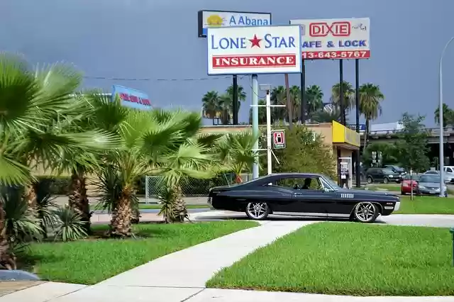 Free download classic car and palm trees ford free picture to be edited with GIMP free online image editor