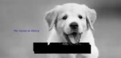 Free download Classwork free photo or picture to be edited with GIMP online image editor