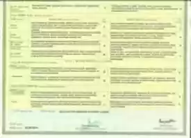 Free download Class X Marksheet 1 free photo or picture to be edited with GIMP online image editor