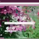 Clematis  screen for extension Chrome web store in OffiDocs Chromium