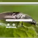 Click Beetle  screen for extension Chrome web store in OffiDocs Chromium