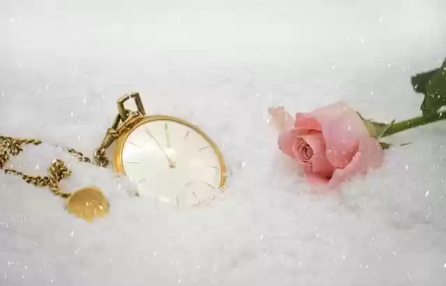 Free download clock rose snow time pocket watch free picture to be edited with GIMP free online image editor